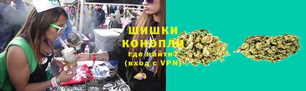 гашик Аркадак