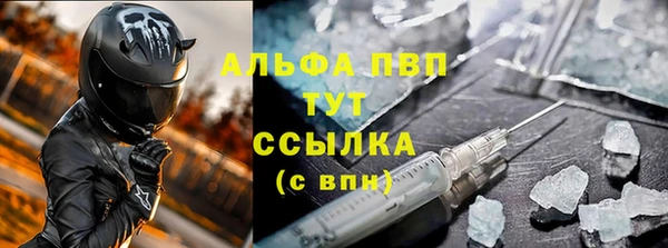 гашик Аркадак