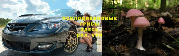 метадон Саяногорск